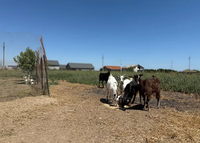 度假居 Isth Wave House *